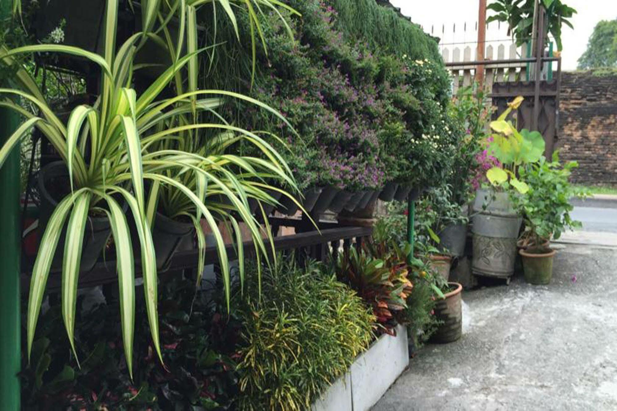 思锐弯住宿加早餐旅馆 清邁 外观 照片